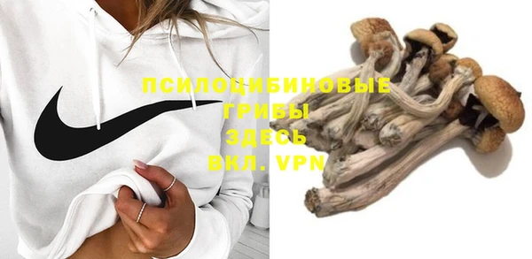 стаф Белоозёрский