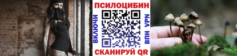 Псилоцибиновые грибы мицелий  мега   Цивильск 